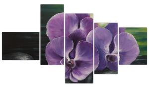 Obraz kvetov orchidey (Obraz 150x85cm)