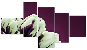 Makro tulipánov - obraz (Obraz 150x85cm)