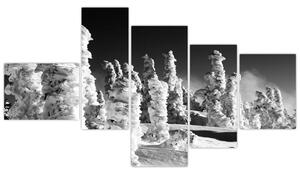 Obraz - zimné hory (Obraz 150x85cm)