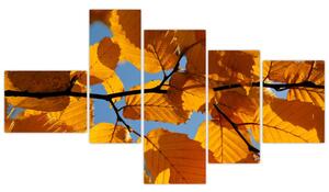 Jesenné lístie - obraz (Obraz 150x85cm)