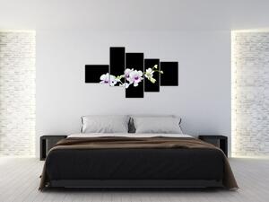 Kvetina - obraz (Obraz 150x85cm)