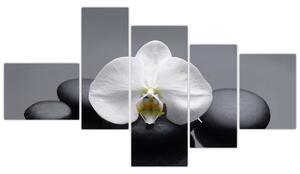 Kvet orchidey - moderný obraz (Obraz 150x85cm)