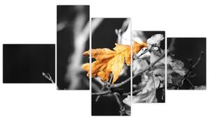 Obraz - prichádzajúce jeseň (Obraz 150x85cm)