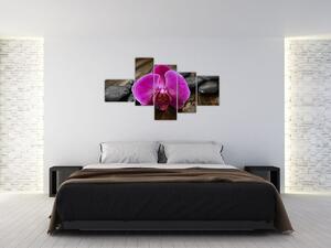 Obraz orchidey (Obraz 150x85cm)