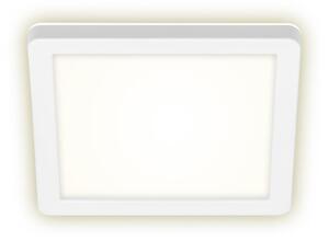 Briloner Briloner 3010-016 - LED Stropné svietidlo LED/8W/230V 19x19 cm biela IP44 BL1036 + záruka 3 roky zadarmo