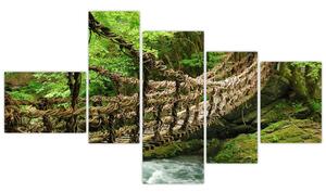 Obraz - most v prírode (Obraz 150x85cm)