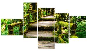 Schody v záhrade - obraz (Obraz 150x85cm)