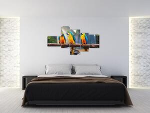 Obraz - papagáje (Obraz 150x85cm)