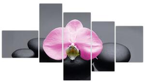 Kvet orchidey - obraz (Obraz 150x85cm)