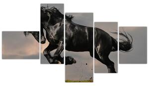 Čierny kôň, obraz (Obraz 150x85cm)