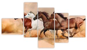 Obraz kôň (Obraz 150x85cm)