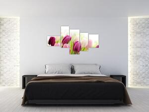 Tulipány, maľby (Obraz 150x85cm)