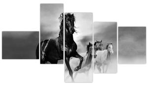 Čiernobiely obraz koňov (Obraz 150x85cm)