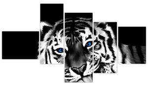Obraz tigra s mláďaťom (Obraz 150x85cm)