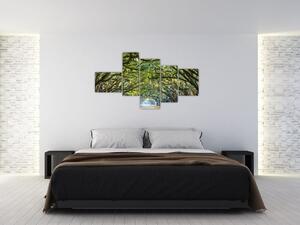 Aleje stromov - obraz (Obraz 150x85cm)