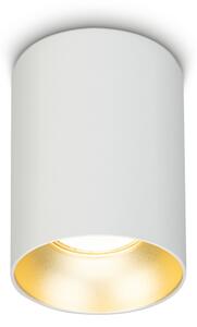 Brilagi - Bodové svietidlo TRINE 1xGU10/30W/230V biela/zlatá