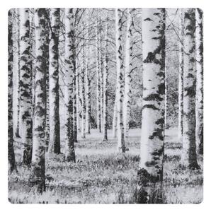 Miiko Design Podtácok Birch Forest 10x10cm