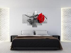 Obraz ruže s červeným kvetom (Obraz 150x105cm)