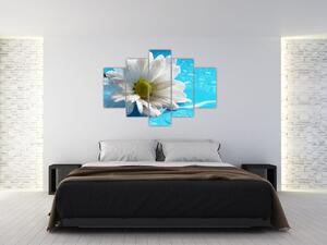 Obraz kvetu margaréty (Obraz 150x105cm)