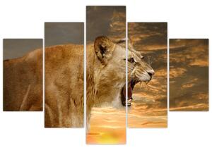 Obraz revúceho leva (Obraz 150x105cm)