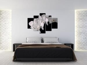 Obraz - biele orchidey (Obraz 150x105cm)