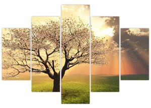 Obraz prírody - strom (Obraz 150x105cm)
