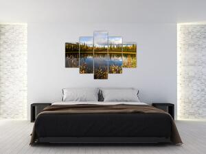 Obraz na stenu - lesné jazierko (Obraz 150x105cm)