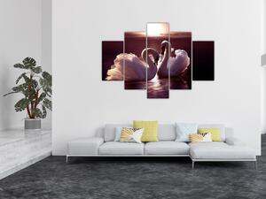 Moderný obraz - labute (Obraz 150x105cm)