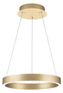 Orion- LED stmievateľný luster na lankách KOLK LED/40W/230V 2700/3000/4000K pr. 40 cm zlatá