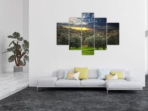 Obraz - zelený sád (Obraz 150x105cm)
