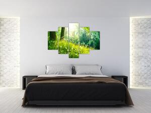 Moderné obrazy prírody (Obraz 150x105cm)
