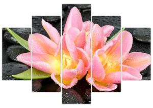 Obraz kvetov (Obraz 150x105cm)