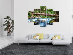 Obraz do bytu - horský potok (Obraz 150x105cm)