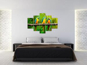 Moderný obraz - papagáje (Obraz 150x105cm)