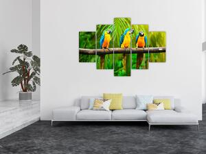 Moderný obraz - papagáje (Obraz 150x105cm)