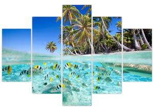 Obraz tropického mora (Obraz 150x105cm)