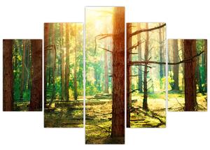 Moderný obraz - les (Obraz 150x105cm)