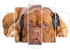 Moderný obraz - pes so slúchadlami (Obraz 150x105cm)