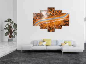 Cesta lesom - moderné obrazy na stenu (Obraz 150x105cm)