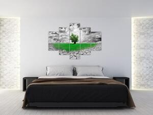 Zelený ostrov vo vyprahnutej krajine - obrazy do obývačky (Obraz 150x105cm)