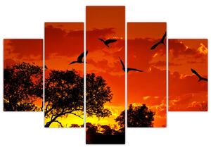 Obraz zapadajúceho slnka s vtákmi (Obraz 150x105cm)