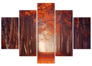 Obraz - Jesenné les (150x105 cm)