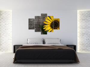 Obraz slnečnice na stole (Obraz 150x105cm)