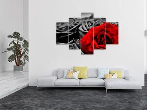 Obraz červené ruže (Obraz 150x105cm)
