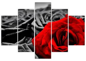 Obraz - Kvety ruží (150x105 cm)