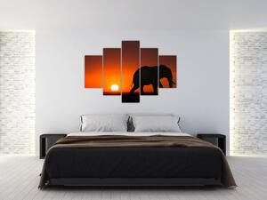 Obraz slona pri západe slnka (150x105 cm)