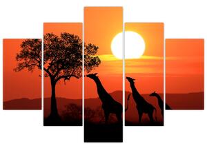 Obraz žirafy pri západe slnka (150x105 cm)