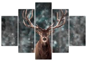 Obraz - jeleň v zime (Obraz 150x105cm)