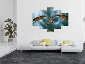 Obraz - Sova pri lete (150x105 cm)
