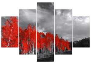 Obraz - Stromy vo farbe jesene (150x105 cm)